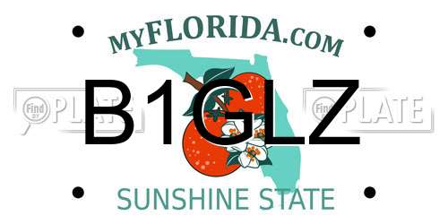 B1GLZ Florida License Plate