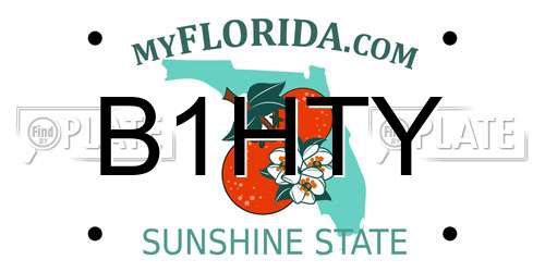 B1HTY Florida License Plate
