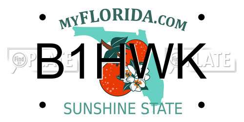 B1HWK Florida License Plate