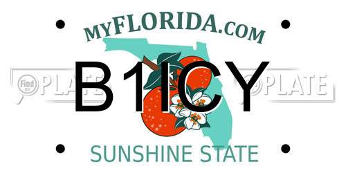 B1ICY Florida License Plate