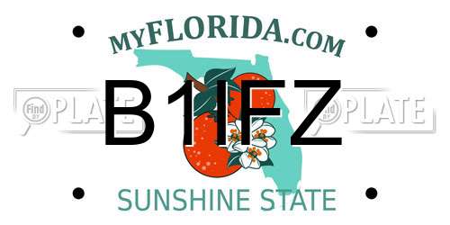 B1IFZ Florida License Plate