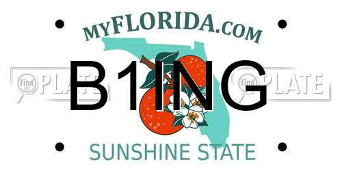 B1ING Florida License Plate