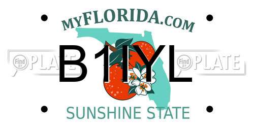 B1IYL Florida License Plate