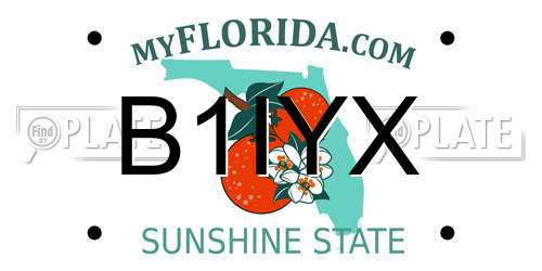 B1IYX Florida License Plate