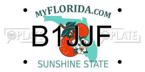 B1JJF Florida License Plate