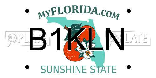 B1KLN Florida License Plate