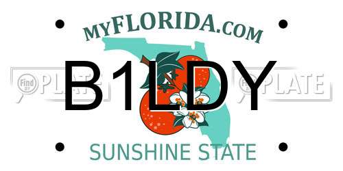 B1LDY Florida License Plate