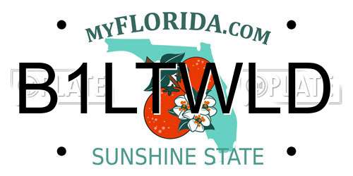 B1LTWLD Florida License Plate