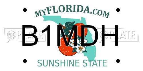 B1MDH Florida License Plate