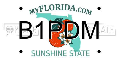 B1PDM Florida License Plate