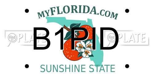 B1PID Florida License Plate