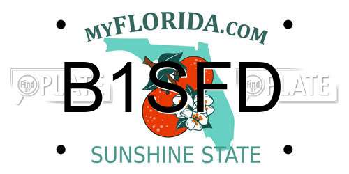 B1SFD Florida License Plate