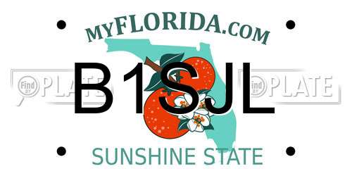 B1SJL Florida License Plate