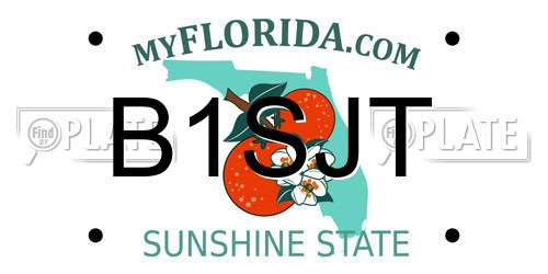 B1SJT Florida License Plate