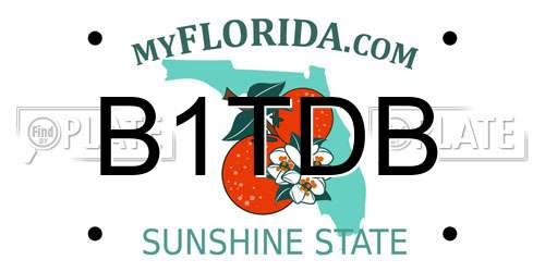 B1TDB Florida License Plate