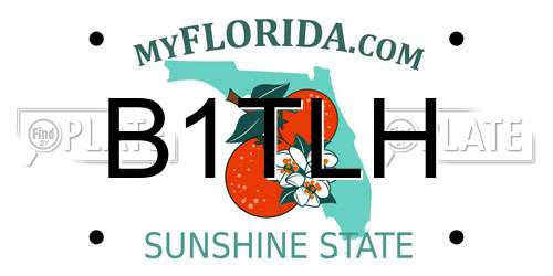 B1TLH Florida License Plate