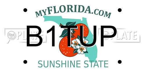 B1TUP Florida License Plate