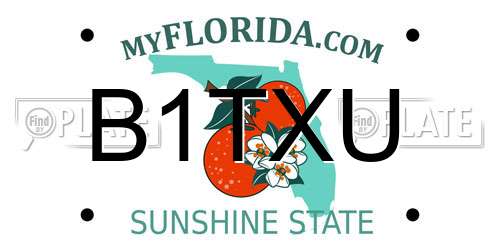 B1TXU Florida License Plate