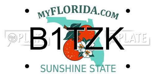 B1TZK Florida License Plate