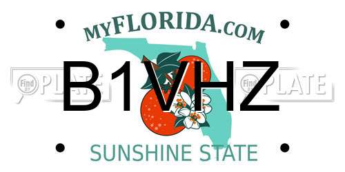 B1VHZ Florida License Plate