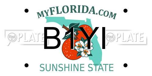B1YI Florida License Plate