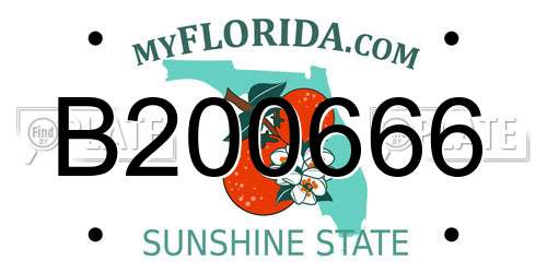 B200666 Florida License Plate
