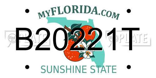 B20221T Florida License Plate