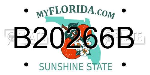 B20266B Florida License Plate
