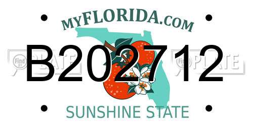 B202712 Florida License Plate