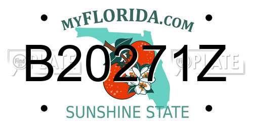 B20271Z Florida License Plate