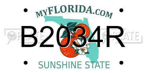 B2034R Florida License Plate
