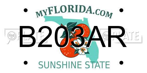 B203AR Florida License Plate