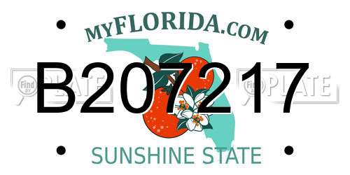 B207217 Florida License Plate