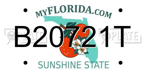 B20721T Florida License Plate