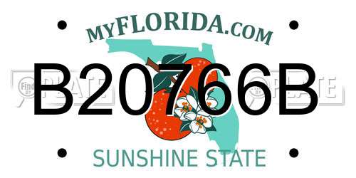 B20766B Florida License Plate