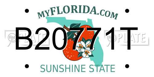 B20771T Florida License Plate