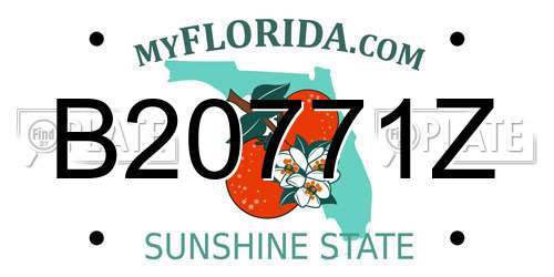 B20771Z Florida License Plate