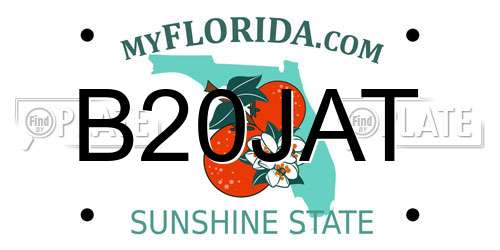 B20JAT Florida License Plate