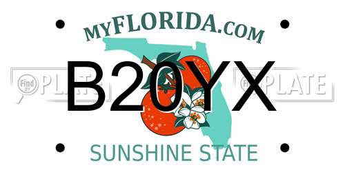 B20YX Florida License Plate