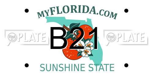B21 Florida License Plate