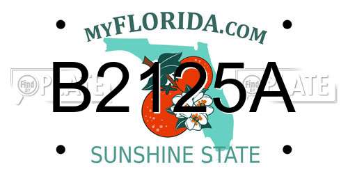 B2125A Florida License Plate
