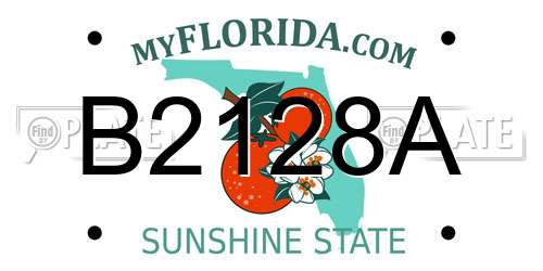 B2128A Florida License Plate