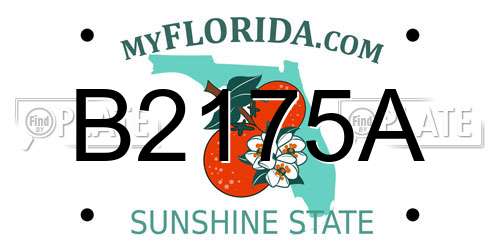 B2175A Florida License Plate
