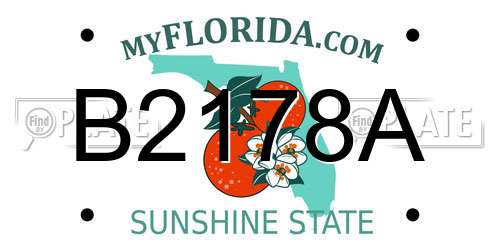 B2178A Florida License Plate