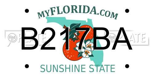 B217BA Florida License Plate