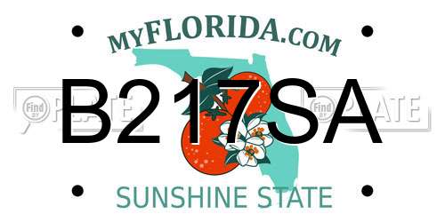 B217SA Florida License Plate