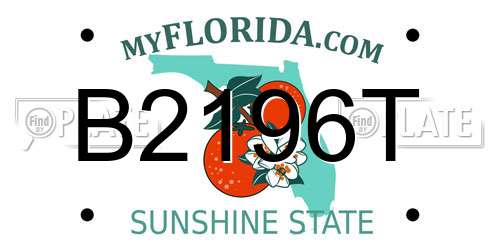 B2196T Florida License Plate
