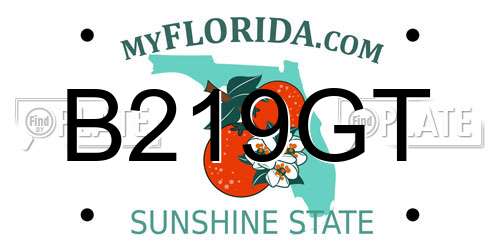B219GT Florida License Plate