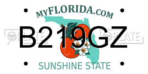B219GZ Florida License Plate