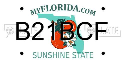 B21BCF Florida License Plate